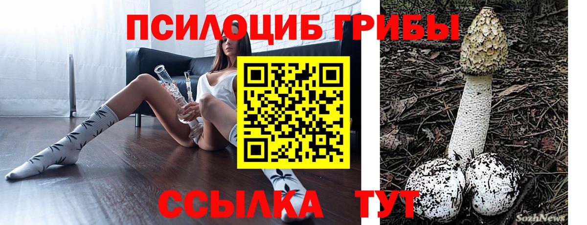Краснознаменск  Галлюциногенные грибы мухоморы  Вход с VPN 