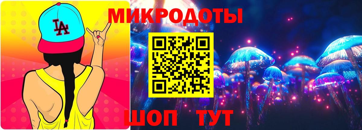 Псилоцибиновые грибы Psilocybine cubensis Краснознаменск