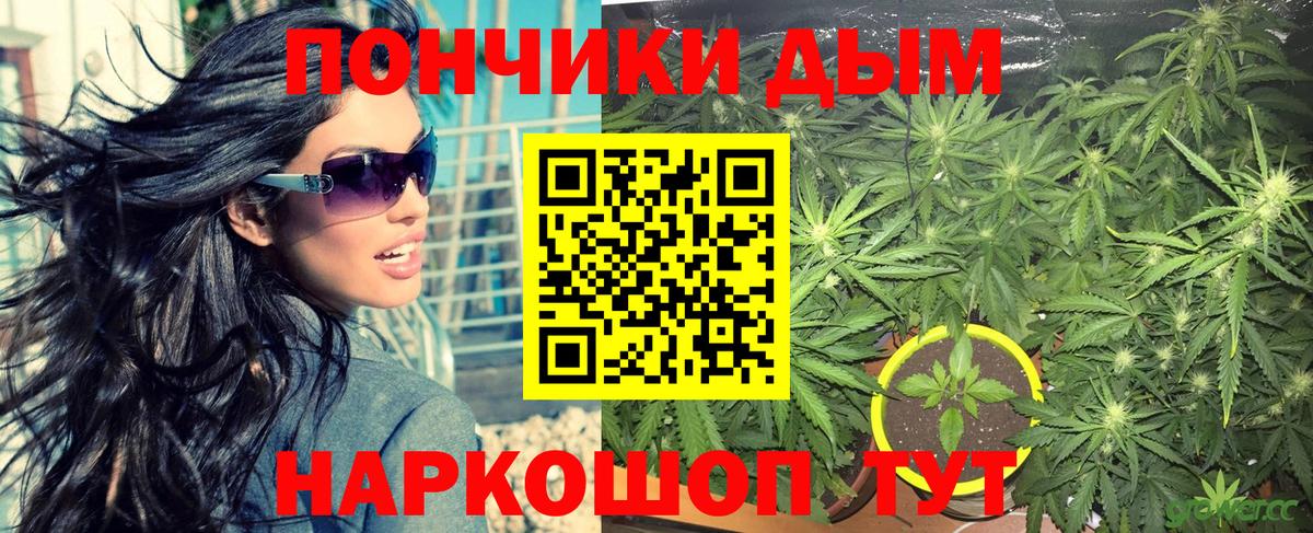Каннабис индика Краснознаменск